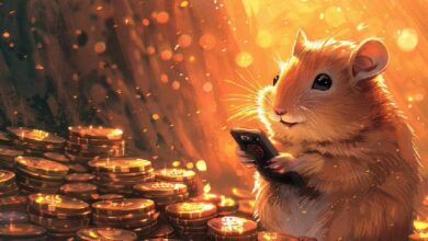 Esta Semana en Juegos de Cripto: Amenaza de la SEC a Immutable, Airdrop de 'Tomarket' y 'Hamster Kombat' en Crisis - ¡Entérate Ahora! - Cripto Boom