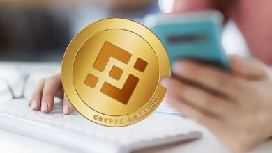 Binance Apoya la Actualización de la Red Filecoin: ¡Descubre las Novedades! - Cripto Boom