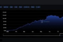Los ingresos de las Dapps alcanzan $164M en octubre: ¡Descubre el crecimiento de su adopción! - Cripto Boom