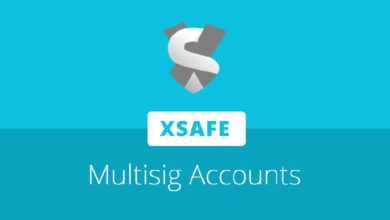 Neo se asocia con Palmera para lanzar las primeras cuentas multisig Safe en Neo X - Descubre esta innovación ahora - Cripto Boom