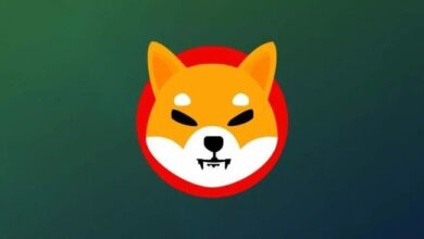 Vigilancia del Precio de Shiba Inu: Rally del 60% Atrae la Atención de Ballenas – ¿Se Avecina Más Crecimiento? - Cripto Boom