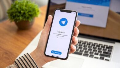El Bot de Listados de DWF Labs ya está en Telegram: Descubre sus Funcionalidades - Cripto Boom