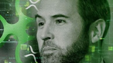 Operación Chokepoint 2.0 Aumenta Barreras para Cripto: Advertencia del CEO de Ripple - ¡Entérate! - Cripto Boom