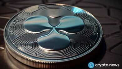 XRP, XLM, LTC: Descubre las principales criptomonedas de la semana y no te las pierdas - Cripto Boom