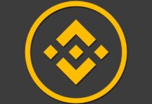Precio del BNB a Punto de Dispararse: ¿Será el Próximo Gran Impulsor? ¡Descúbrelo! - Cripto Boom