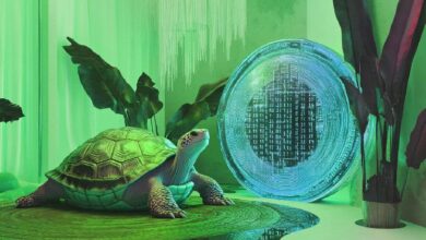 Este Rival de Solana Destaca Durante Retroceso de Bitcoin, Afirma Analista Cripto Líder. ¡Descubre Más! - Cripto Boom