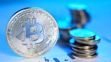 Bitcoin aspira a superar los $100k: Descubre los líderes semanales NEIRO, CRO y RAY - Cripto Boom